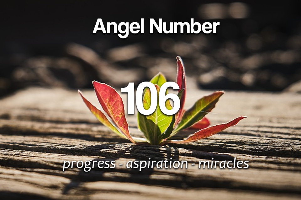 Angel Number 106 - Meaning and Symbolism - Spirit Animals