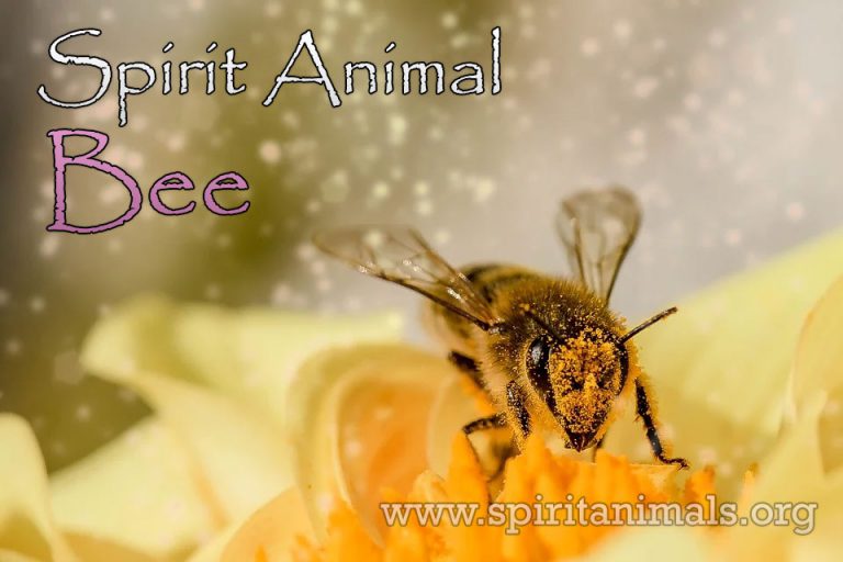 bee-spirit-animal-meaning-and-symbolism-spirit-animals