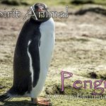 Penguin as Spirit Animal